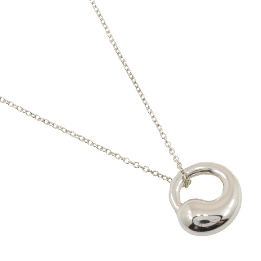 Tiffany Eternal Circle Necklace Silver 2639$
